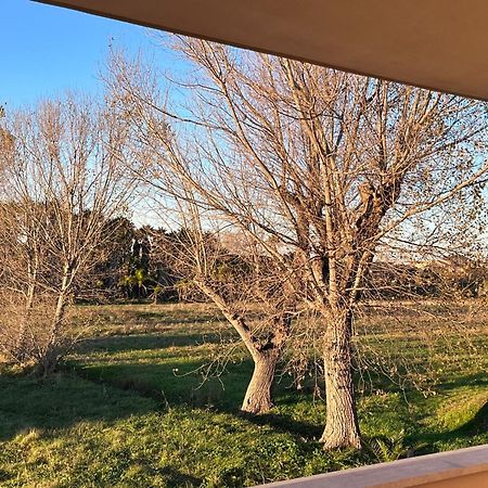 Lizzies Hus Apartment Fiumicino Luaran gambar